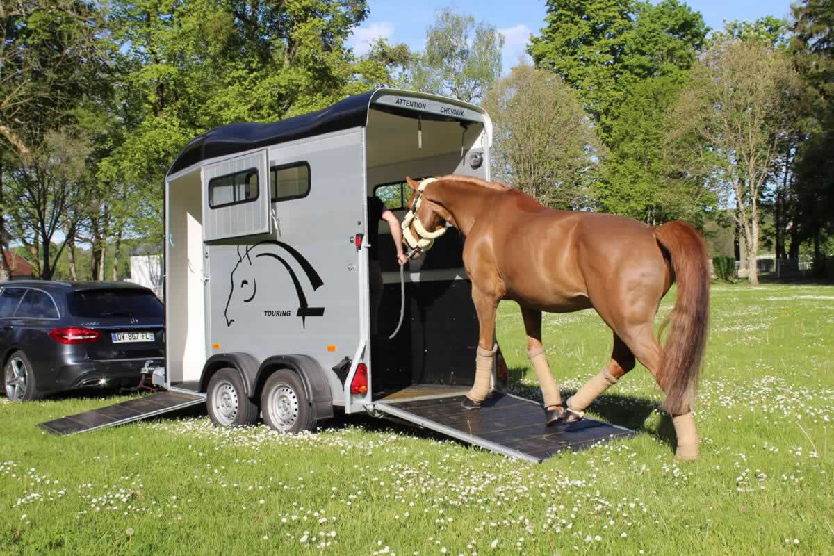 Touring One Horse Trailer